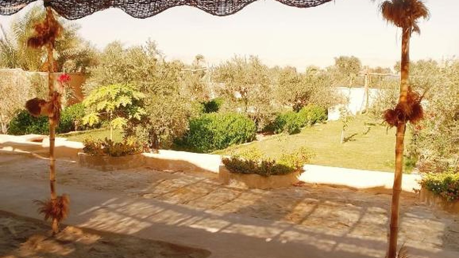 Dar Tunis Al Zaytoun