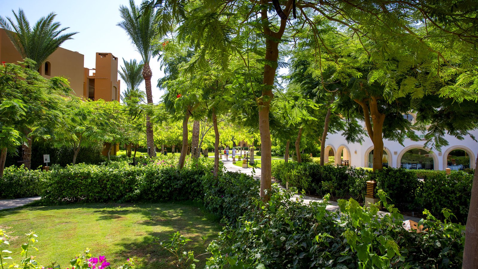 Stella Makadi Beach Resort