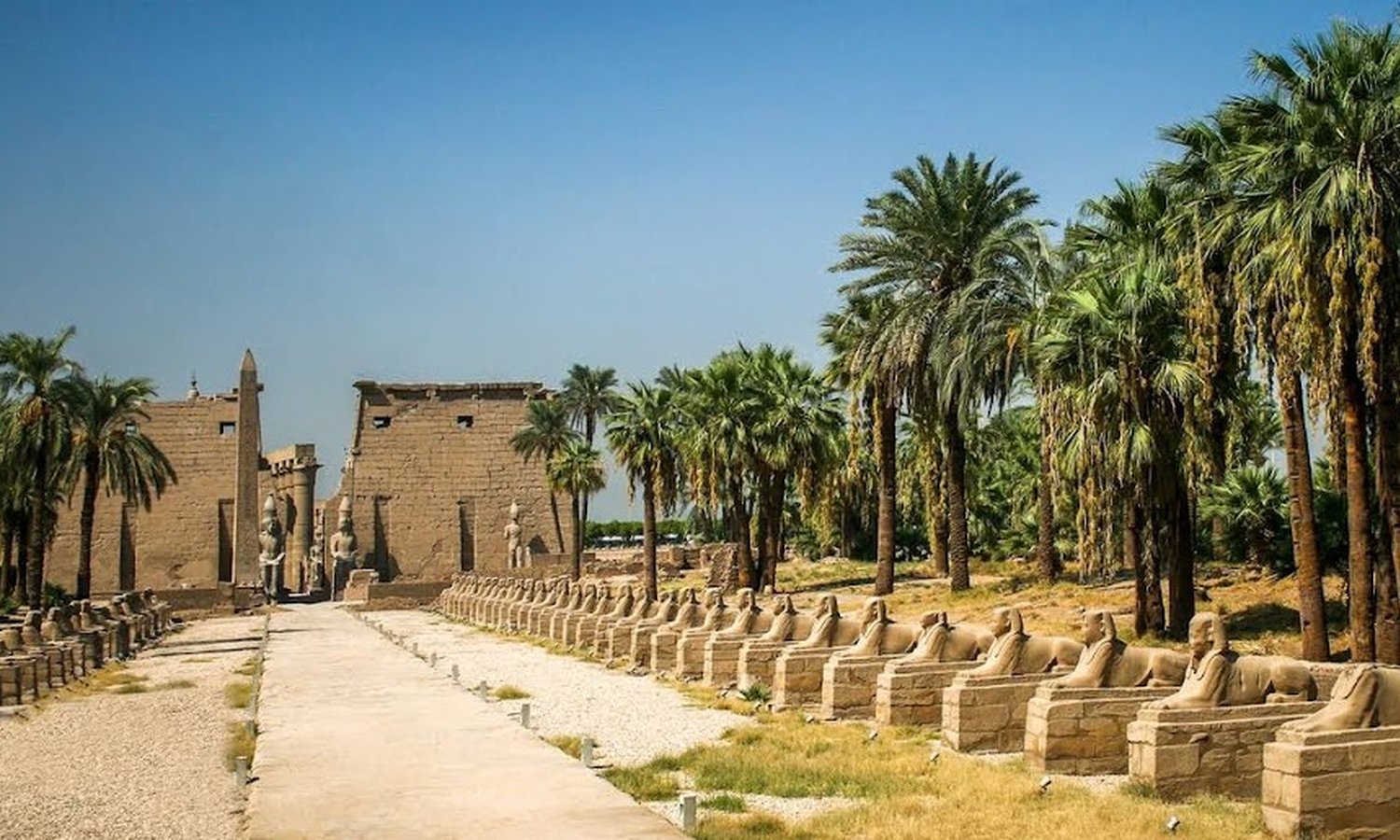 Elite Moments On Nile 08 Days 07 nights I Upscale Cruise Luxor