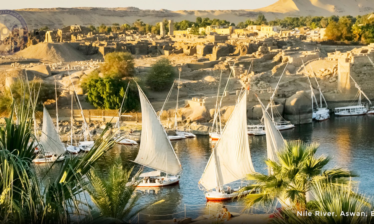 Holy Family Heritage Cruise ( Cairo – Minya – Cairo)