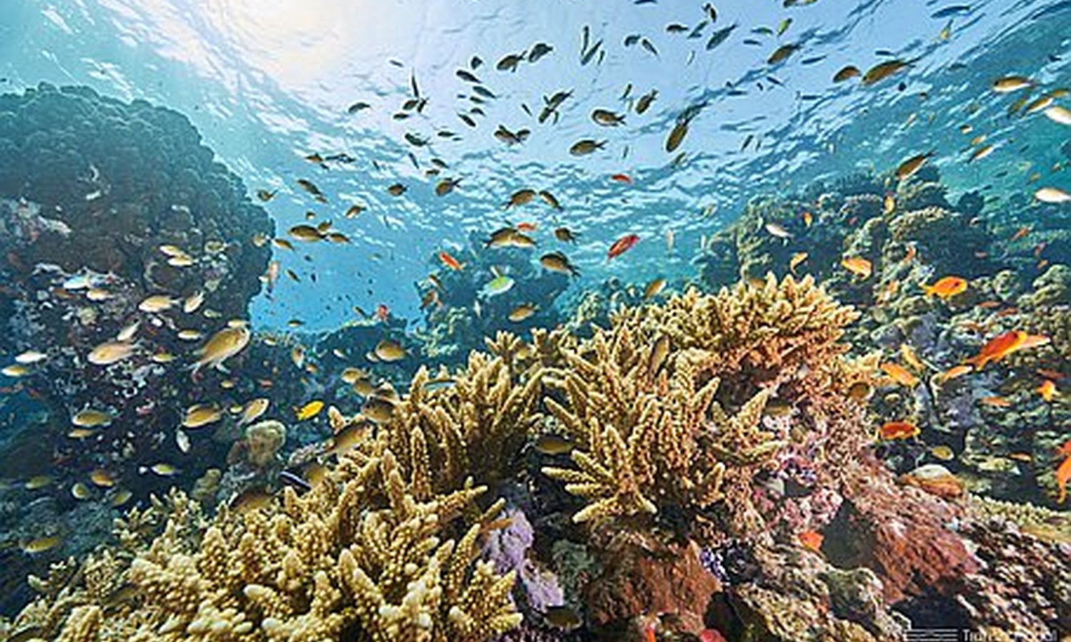 Egypt total eclipse with Hurghada I 12 Days 11 nights I 05 Nights Cairo, 3 nights Cruise 3 night Hurghada Jul 25- Aug 05 2027